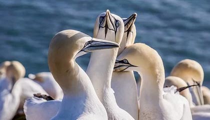 开云app下载教程-国际热身赛国家队惨败 球迷反思战术问题，2021国际热身赛赛程