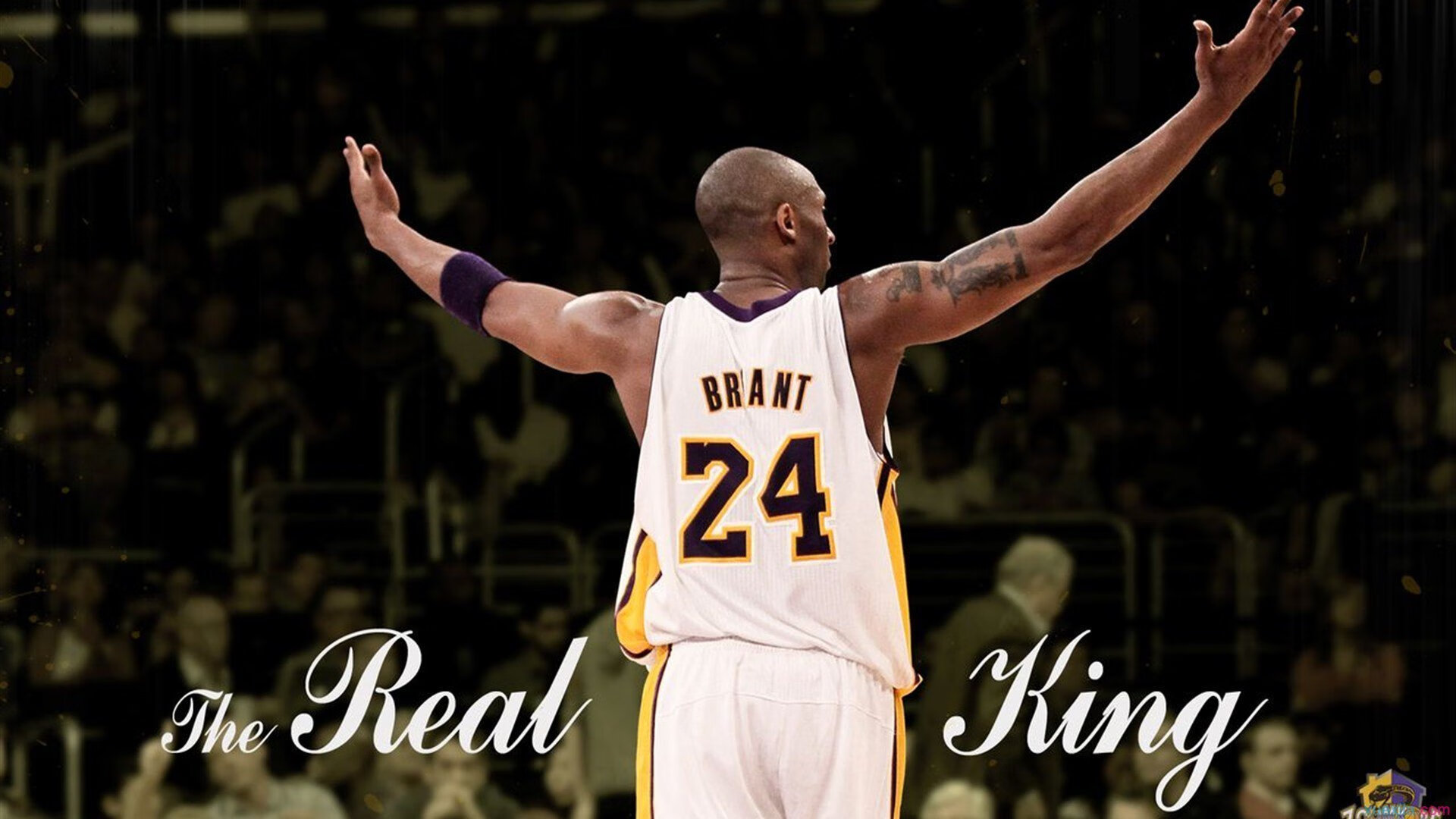 “高新体育中心：羽毛球选手们上演极限对决”