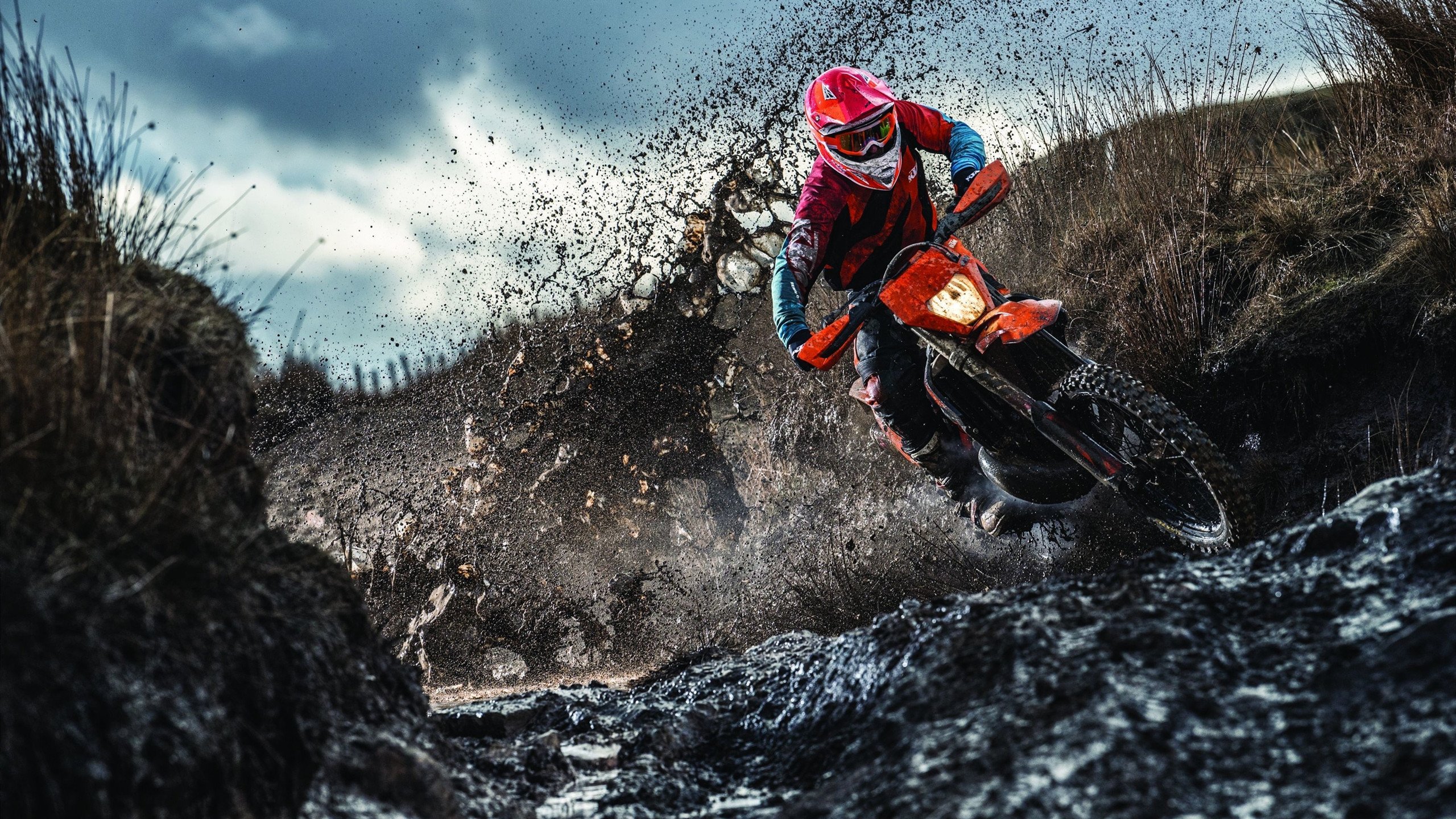 蝶泳冲刺阶段划频显著提升，蝶泳规则